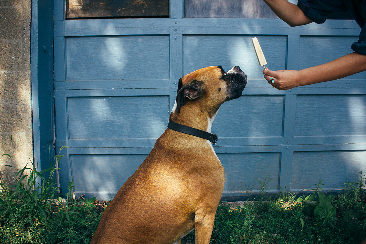 Pupsicles Recipe: Carob Fudgsicles for Dogs (vegan, gluten free) - Long  Haul Trekkers