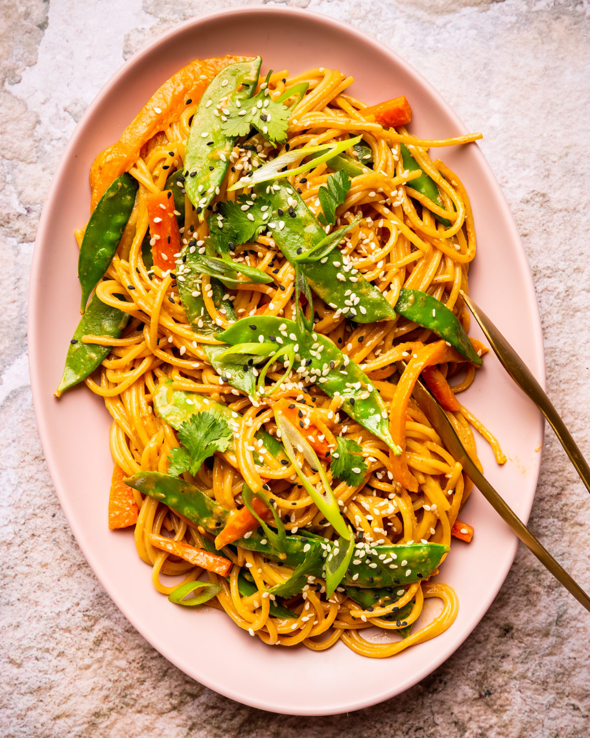 Sesame Peanut Noodles Recipe Vegetarian Ventures